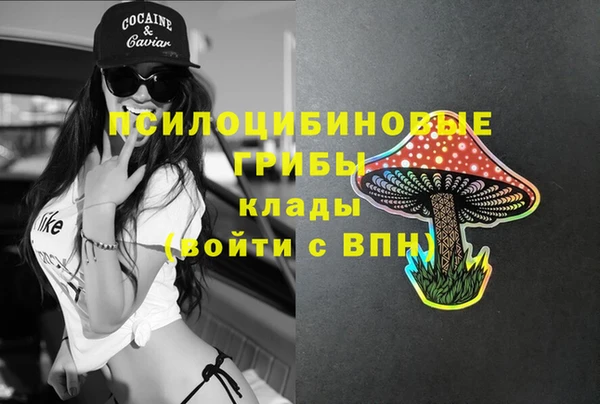 круглые Алексеевка