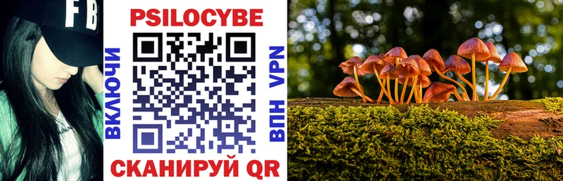 Псилоцибиновые грибы GOLDEN TEACHER  Карабаш 
